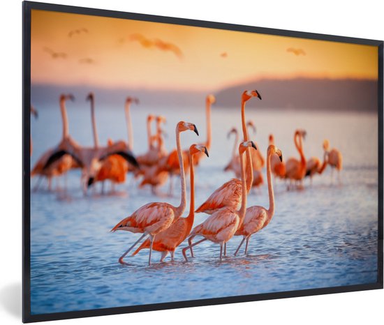 Poster - Cadre photo - Flamingo - Coucher de soleil - Vogel - Tropical - Cadre - 60x40 cm - Cadre affiche - Poster flamant rose - Poster animaux - Photo sous cadre - Décoration chambre