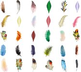 Stickerset Veertjes - 60 stuks - Colorful Feathers - Veren Sticker - Feather Stickers - Leuk voor o.a. Bullet Journal, Scrapbooking en het maken van kaarten
