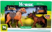 Horse Paard met Veulen