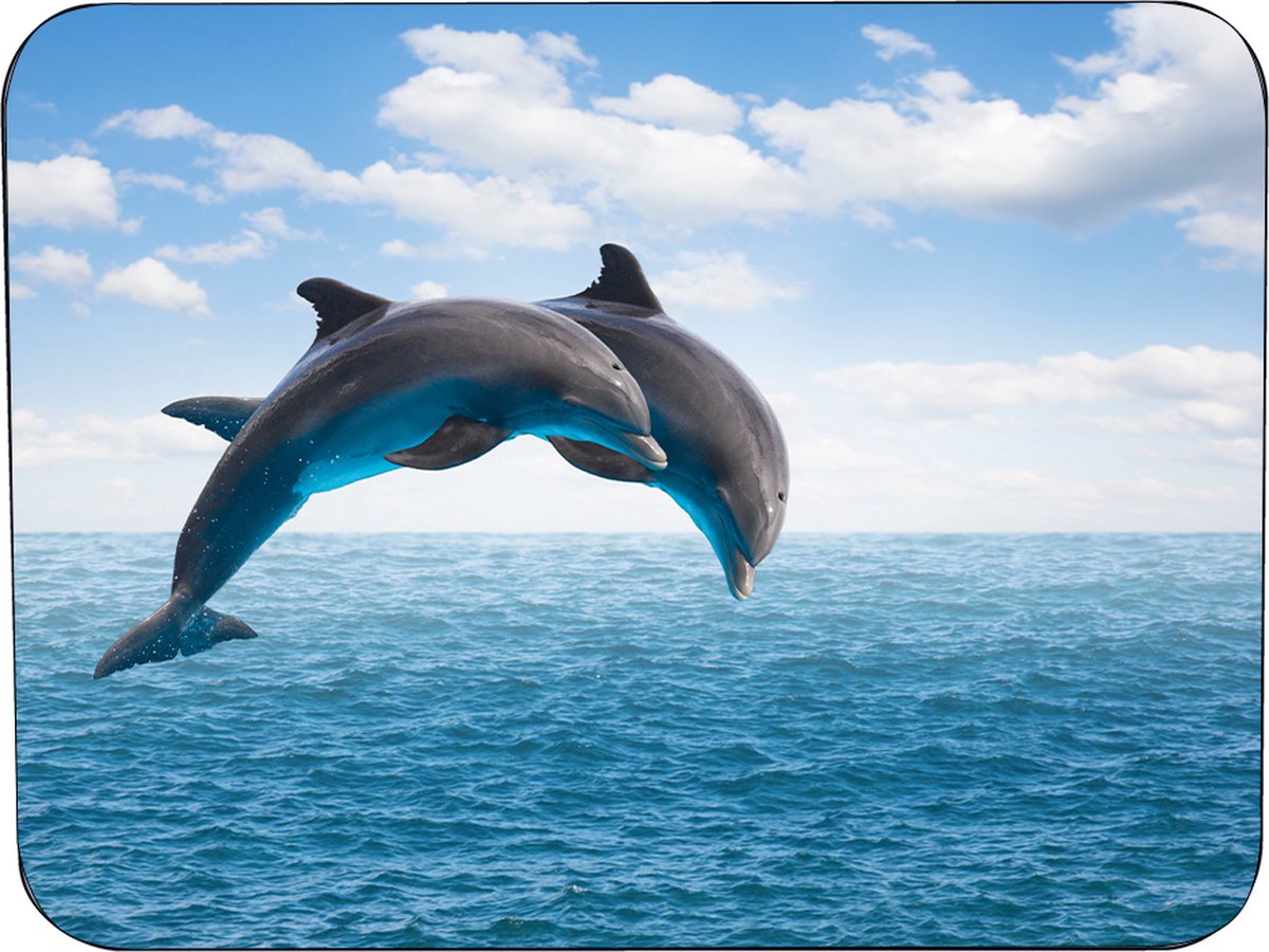 Muismat Dolfijn - 25x19x0.5cm - rubbere muismat