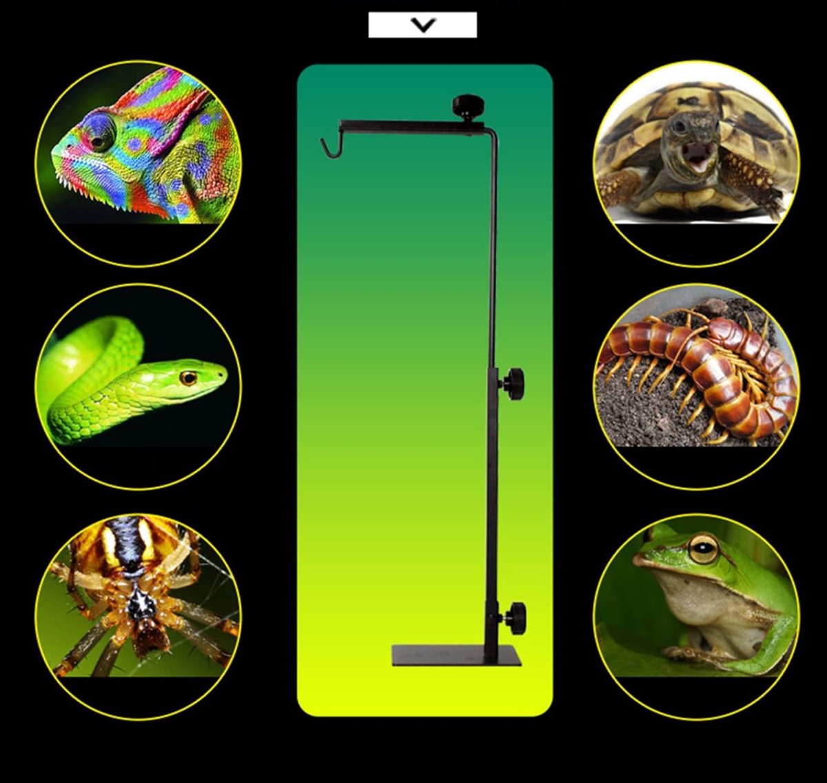 Reptiel warmtelamp, verwarming lamp met klem verstelbare habitat koesterende warmtelamp, uva / uvb lichtlamp 360 draaibare clip | NL