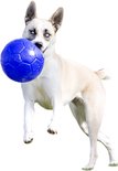 Lichte hond met blauwe ogen speelt met een blauwe Jolly Soccer Ball.