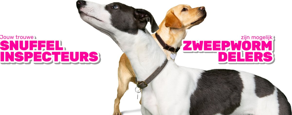 Milbemax Milbemax Hond - Anti wormenmiddel - 2 tab 10-75kg — afbeelding 7