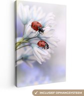 Canvas doek - Foto op canvas - Lieveheersbeestjes - Bloemen - Dieren - Wit - Natuur - 90x140 cm - Kamer decoratie