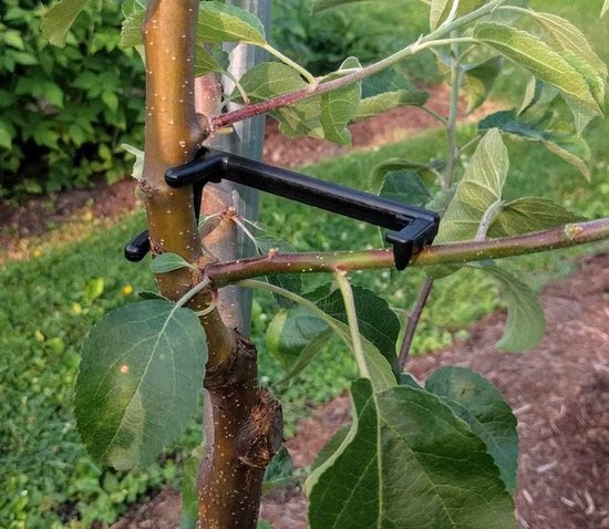 30 Stuks M-vormige Takkenspreider Van Metaal - 13 Cm - Voor Fruitbomen En Tuin - Herbruikbaar En Roestvrij
