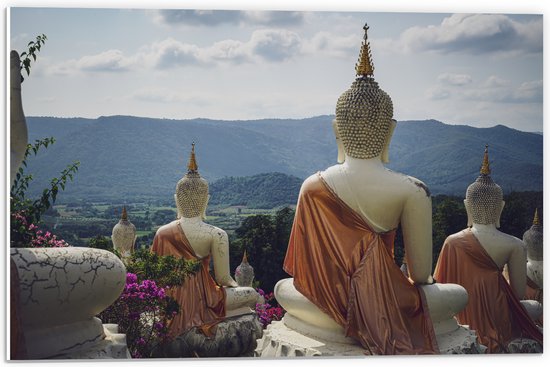 PVC Schuimplaat - Buddhas - Bloemen - Bergen - Bomen - 60x40 cm Foto op PVC Schuimplaat (Met Ophangsysteem)