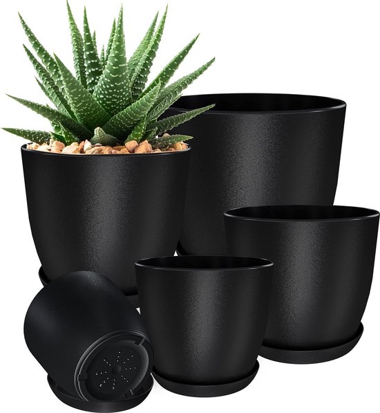 Plante D'intérieur En Pot De Cactus Dans Un Petit Pot En Plastique