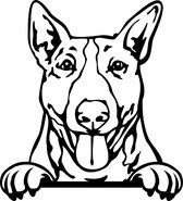 Sticker - Glurende Hond - Bull Terrier - Zwart - 25x20cm - Peeking Dog