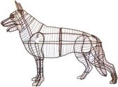 Hond Duitse Herder Staand - Frame