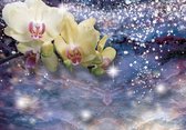Fotobehang - Vlies Behang - Sprankelende Orchidee - 312 x 219 cm