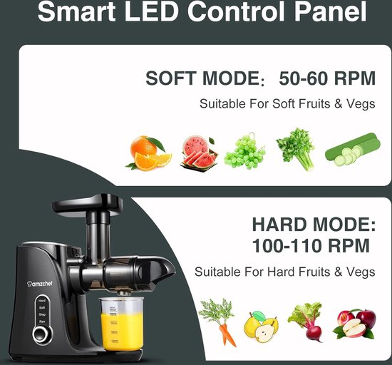 AMZCHEF Slow Juicer Sapcentrifuge met 2 Snelheden bol