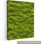 Canvas Schilderij Mos - Natuur - Groen - 90x120 cm - Wanddecoratie