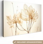 Canvas Schilderij Droogbloemen - Beige - Planten - Wit - 30x20 cm - Wanddecoratie