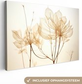 Canvas Schilderij Droogbloemen - Beige - Planten - Wit - 120x80 cm - Wanddecoratie