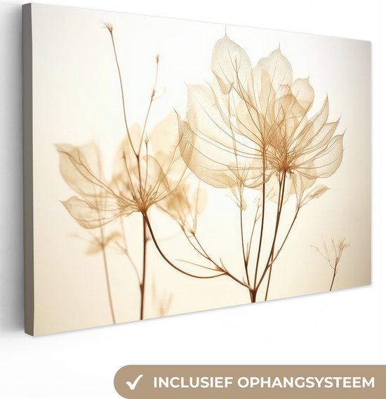 Canvas schilderij 120x80 cm - Wanddecoratie Droogbloemen - Beige - Planten - Wit - Muurdecoratie woonkamer - Slaapkamer decoratie - Kamer accessoires - Schilderijen op canvas