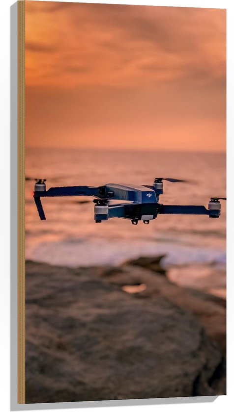 Hout - Drone Vliegend boven Rots in het Water - 50x100 cm - 9 mm dik - Foto op Hout (Met Ophangsysteem)