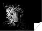 Poster Panter - Wilde dieren - Zwart wit - Dieren - 120x90 cm