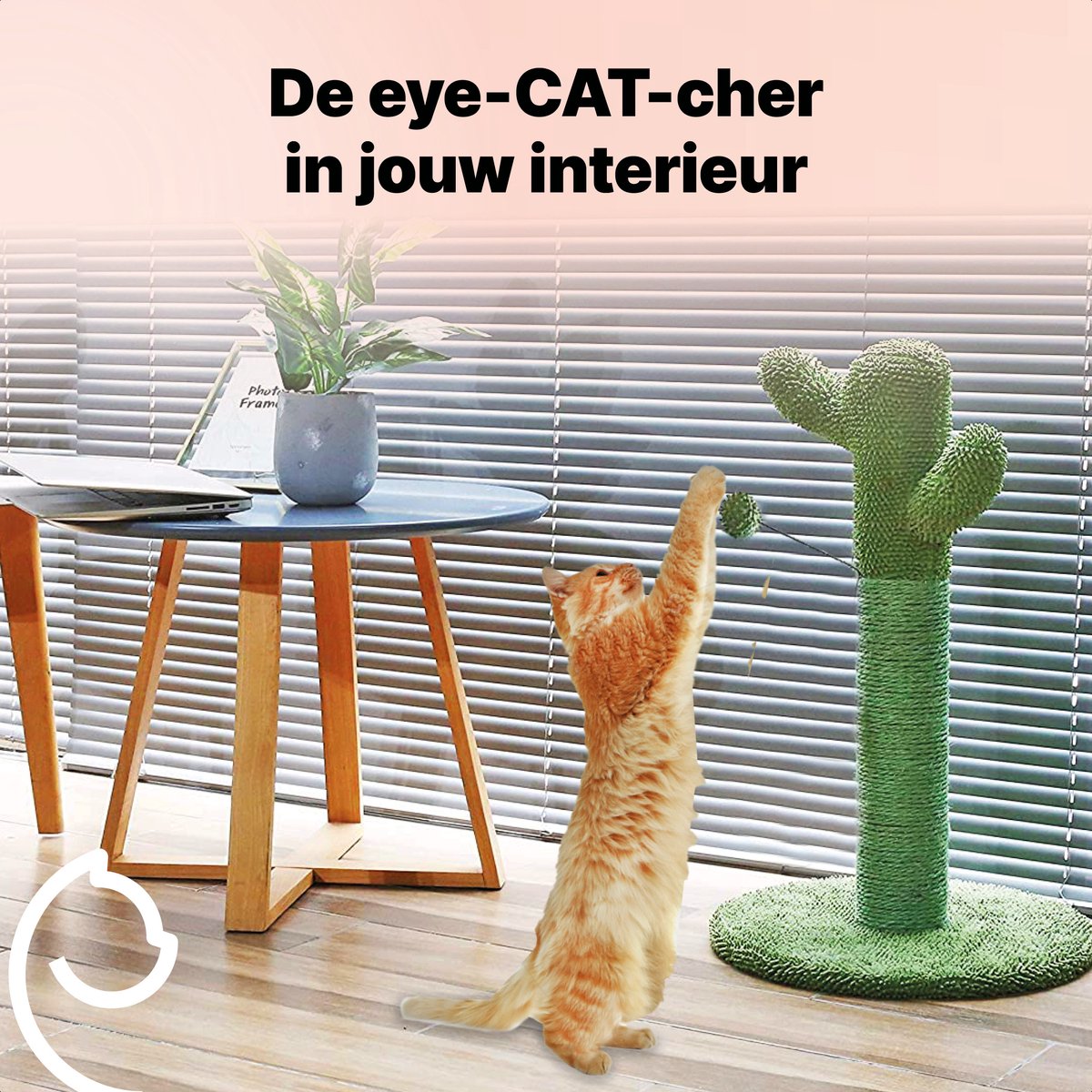 Jake and Jacky Krabpaal voor Katten Cactus Groen - Krabmeubel - met Kattenspeeltje - H 65cm – foto 7