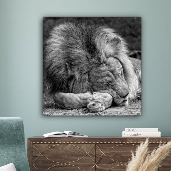 Toile de lion endormie 2cm 90x90 cm - Tirage photo sur toile (Décoration murale salon / chambre) / Peintures sur toile animaux sauvages