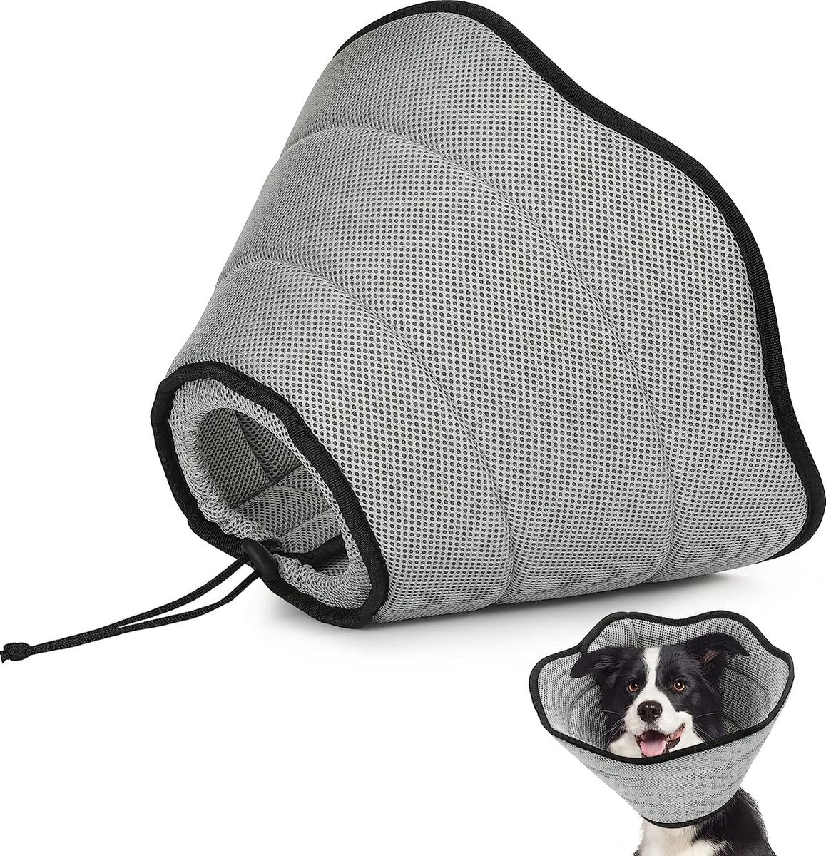 Hond