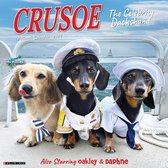 Crusoe the Celebrity Dachshund 2024 12 X 12 Wall Calendar