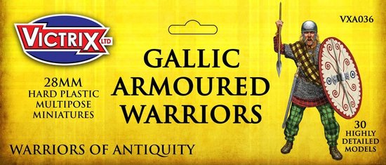 Afbeelding van het spel Gallic Armoured Warriors