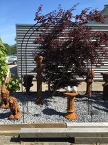 Een geweldig decoratiestuk voor in de tuin, rozenboog gemaakt van metaal