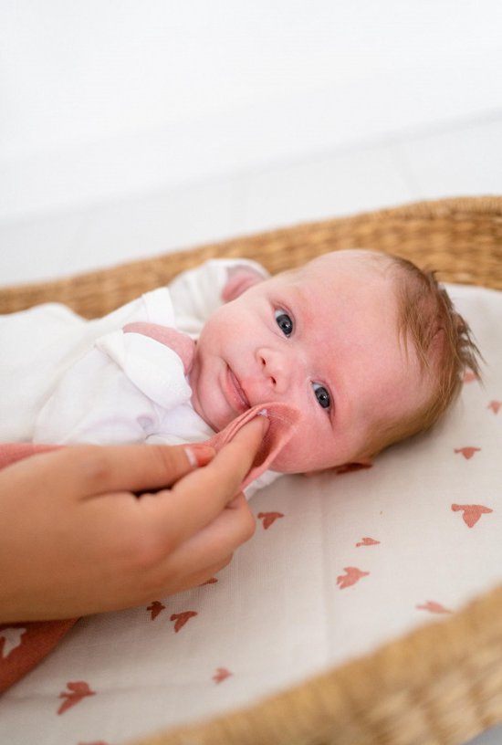 Briljant Baby Hydrofiel Multidoek XL Birds - Swaddle - Inbakerdoek - 120x120 - Ash Rose - 2 Stuks - Organic van Briljant — afbeelding 4