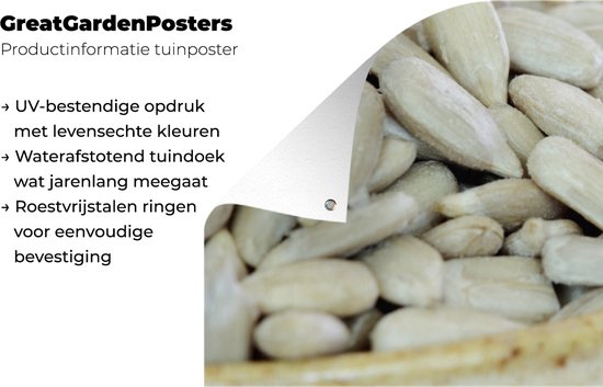 Poster de jardin Bol plein de graines de tournesol de couleur blanche - 80x40 cm - Décoration murale Outdoor - Poster de jardin - Toile de jardin - Poster de clôture - Tableau de jardin