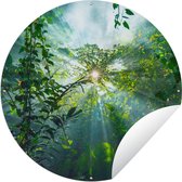 Tuincirkel De zon schijnend door de bossen van een regenwoud in Maleisië - 60x60 cm - Ronde Tuinposter - Buiten