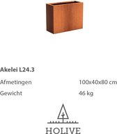 Cortenstaal Akelei L24.3 Rechthoek 100x40x80 cm. Plantenbak