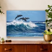 Aluminium Schilderij Dolfijnen