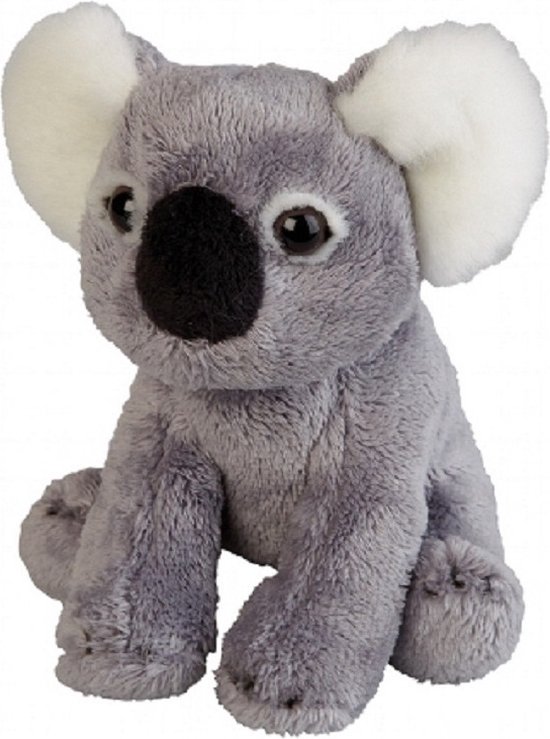 borstel Alstublieft Peuter Pluche koala knuffel 15 cm - knuffeldier / knuffels | bol.com