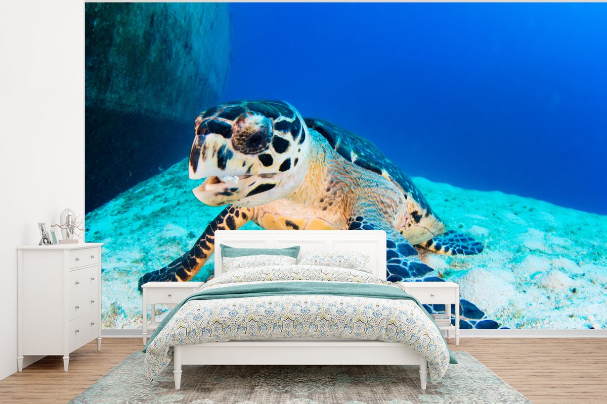 Behang - Fotobehang Een schildpad zittend op het zand naast een wrak in de zee bij de Grand Cayman - Breedte 350 cm x hoogte 260 cm