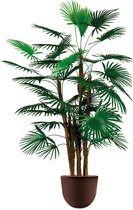 HTT - Kunstplant Rhapis palm in Eggy bruin H125 cm