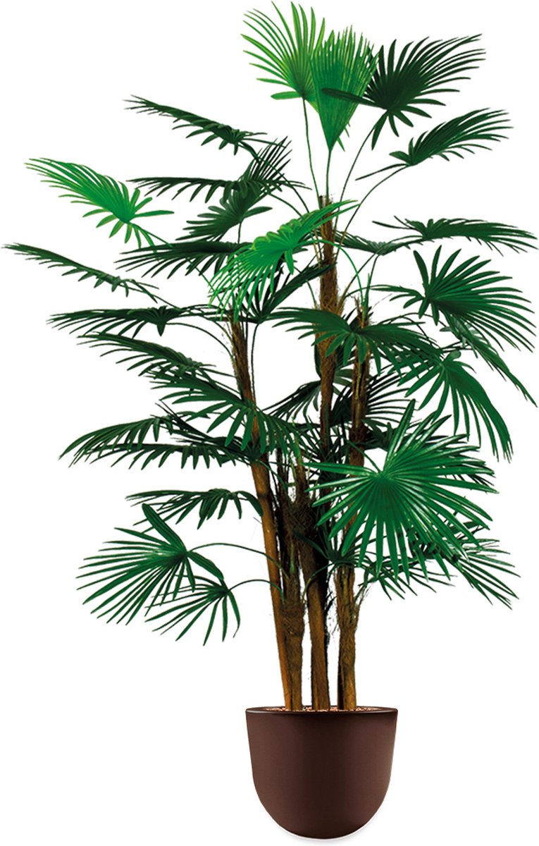 HTT Decorations HTT - Kunstplant Rhapis palm in Eggy bruin H125 cm