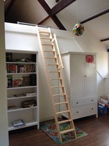 Boomstam wandplank nature geolied