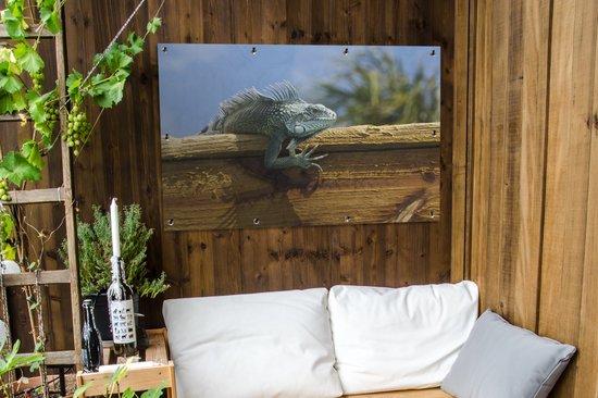 Affiche de jardin Affichage d'un iguane sur bois à Curaçao - 120x80 cm - Jardin