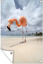 Muurdecoratie Close-up van een flamingo op een strand in Aruba - 120x180 cm - Tuinposter - Tuindoek - Buitenposter