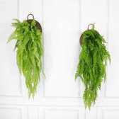 2 stuks - 80 cm kunstplant - Boston varen -  hangende varens - klimop slinger - kunstmatige planten
