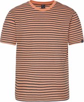 Protest Prtvaldemar t-shirt heren - maat xxl