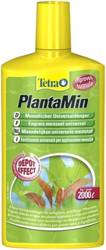 Tetra Pianta Decorativa in Plastica Modello Red Foxtail misura M Tetra Pianta Decorativa in Plastica Modello Red Foxtail misura M