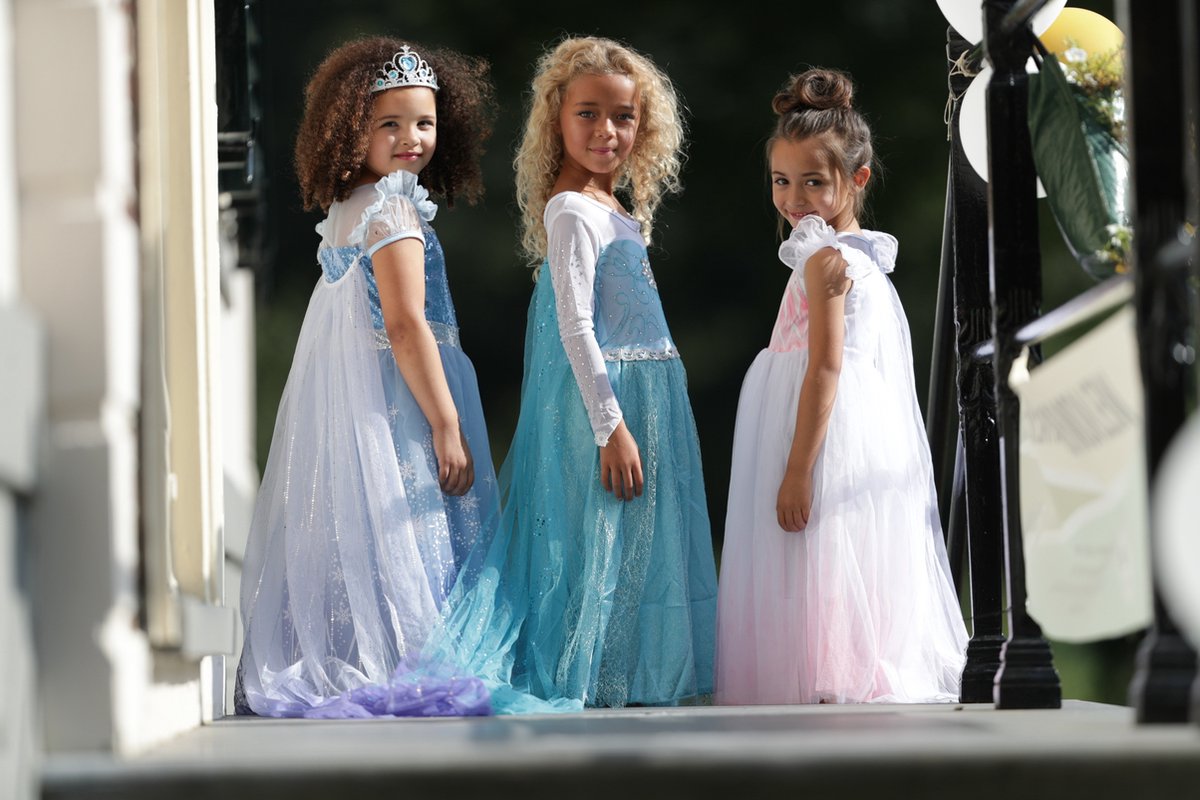 Elsa jurk roze wit Luxe met sleep + kroon (130) Prinsessen jurk verkleed jurk verkleedkleding — afbeelding 3