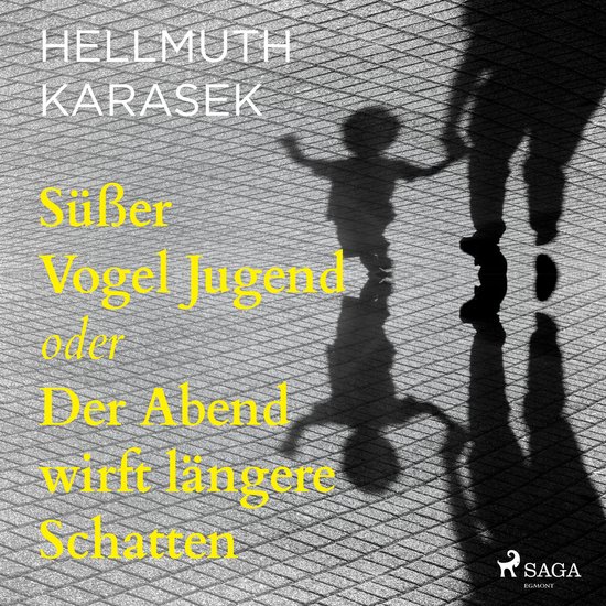 Süßer Vogel Jugend oder Der Abend wirft längere Schatten - cover