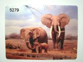Placemat Olifant in 3D set/2