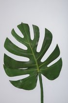 Kunstblad - Monstera - topkwaliteit decoratie - 2 stuks - zijden tak - Groen - 74 cm hoog
