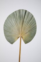 Kunstblad - palm - topkwaliteit decoratie - 2 stuks - decoratie blad - Groen - 77 cm hoog