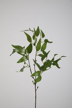 Kunsttak - Ruscus - hedera - topkwaliteit decoratie - 2 stuks - zijden tak - Groen - 66 cm hoog