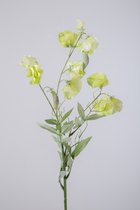Kunstbloem - Lathyrus -  pronkerwten - topkwaliteit decoratie - 2 stuks - zijden bloem - Groen - 70 cm hoog