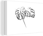 Illustration d'art au trait botanique deux grandes feuilles toile 2cm 90x60 cm - Tirage photo sur toile (Décoration murale salon / chambre) / Peintures Fleurs sur toile